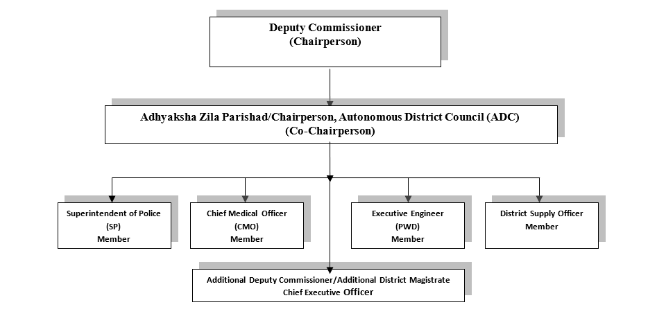 Organizational Structure of DDMA