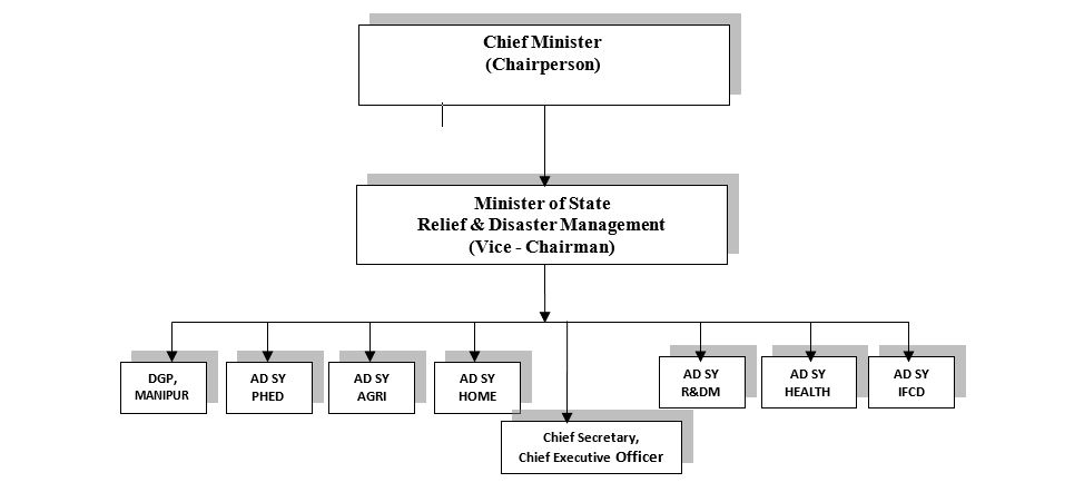 Organizational Structure of DDMA